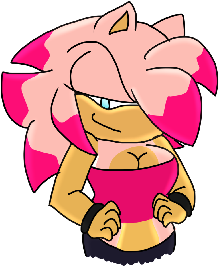 Art Trade Ciara The Hedgehog By Shadxester On Deviantart - Cartoon (774x1032)