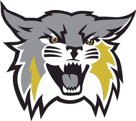 Weber State Wildcats Logo (498x480)