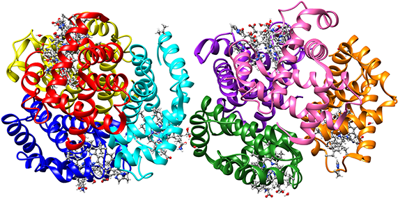 Mutant Hemoglobin - Illustration (600x464)