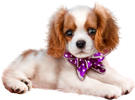 Dog - Portable Network Graphics (459x500)