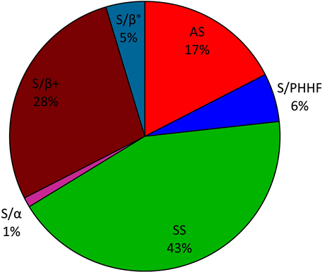 Distribution Of Sickle Cell Phenotypes In Patients - Circle (903x386)