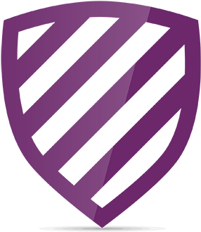 Data Security Shield Icon - Data Security Icon (400x393)