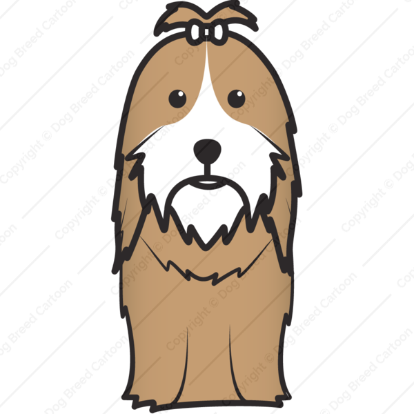 Shih Tzu - Shih Tzu Cartoonpng (600x600)