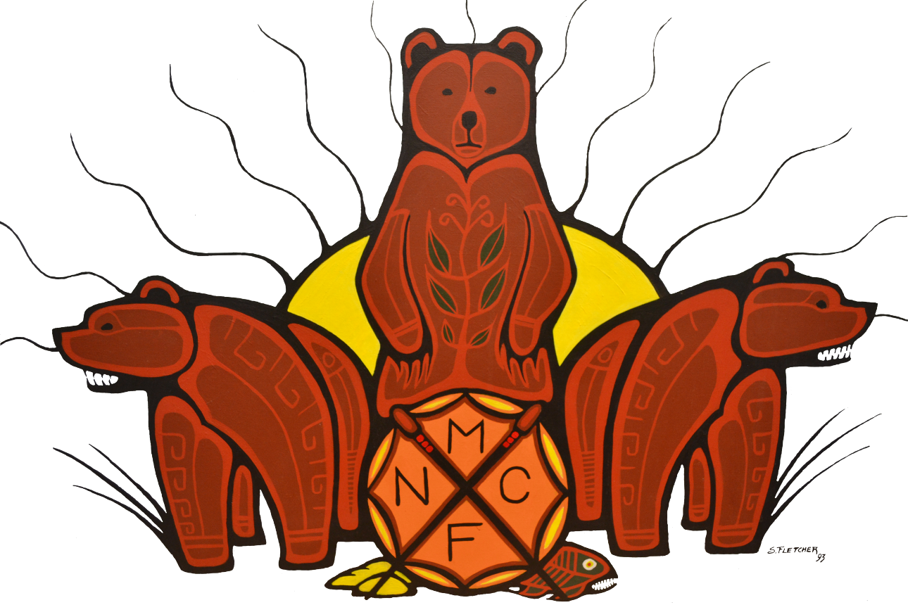 Missanabie Cree First Nation (1290x860)