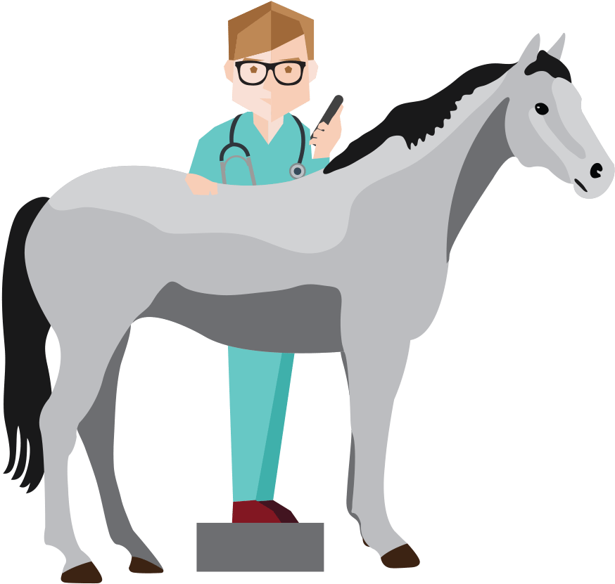 Sayit Dictation Solution For Veterinarians - Horse Veterinarian Clip Art (952x952)