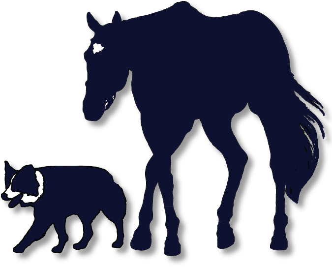 Cogswell Vet Logo Flip Dropshadow - Cogswell Vet Logo Flip Dropshadow (680x549)