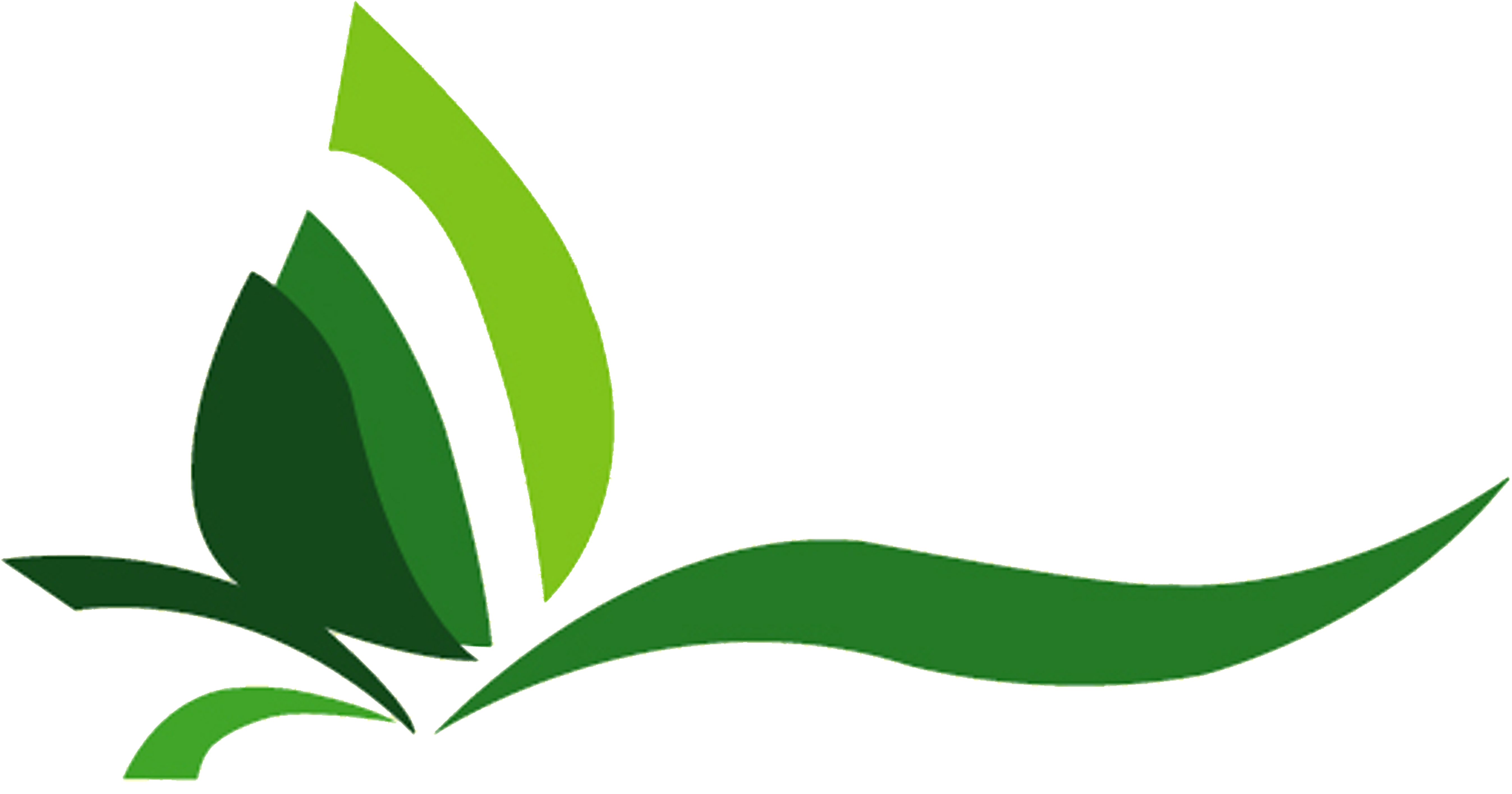 Plants Clipart Halaman - Plants Clipart Halaman (5879x8296)