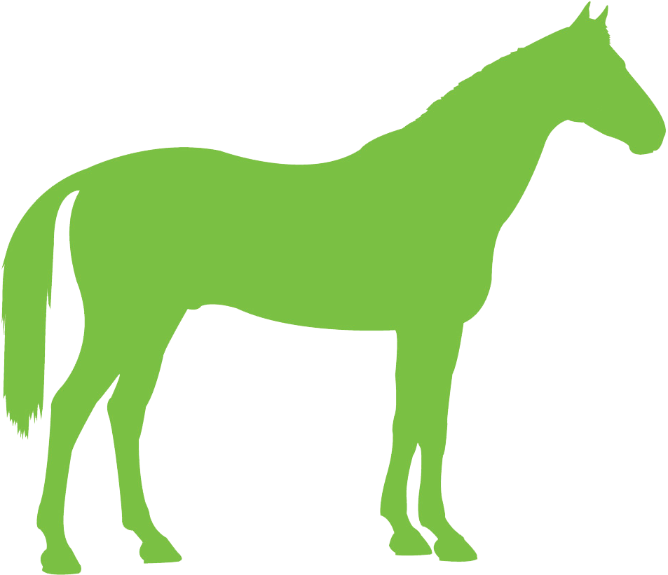 Congratulations To The Following Winners Of A Place - Horse Icon Grey (960x824)