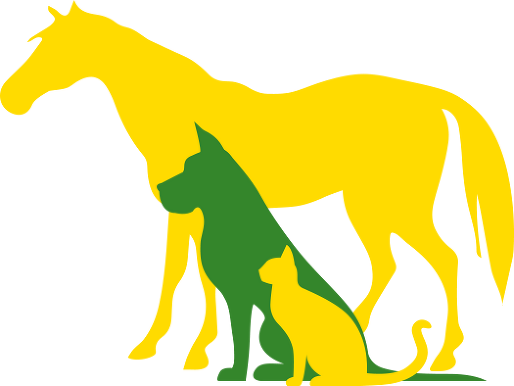 Graphic Of A Horse, Dog And Cat - Alison P Lee Ltd Bvsc, Mrcvs (514x386)