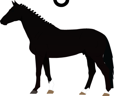 Arabian Icon Quarter Horse Icon Swedish Warmblood Icon - Horse Shape (385x325)