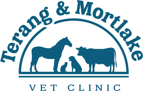 Terang Mortlake Vet Clinic - Mane (474x304)