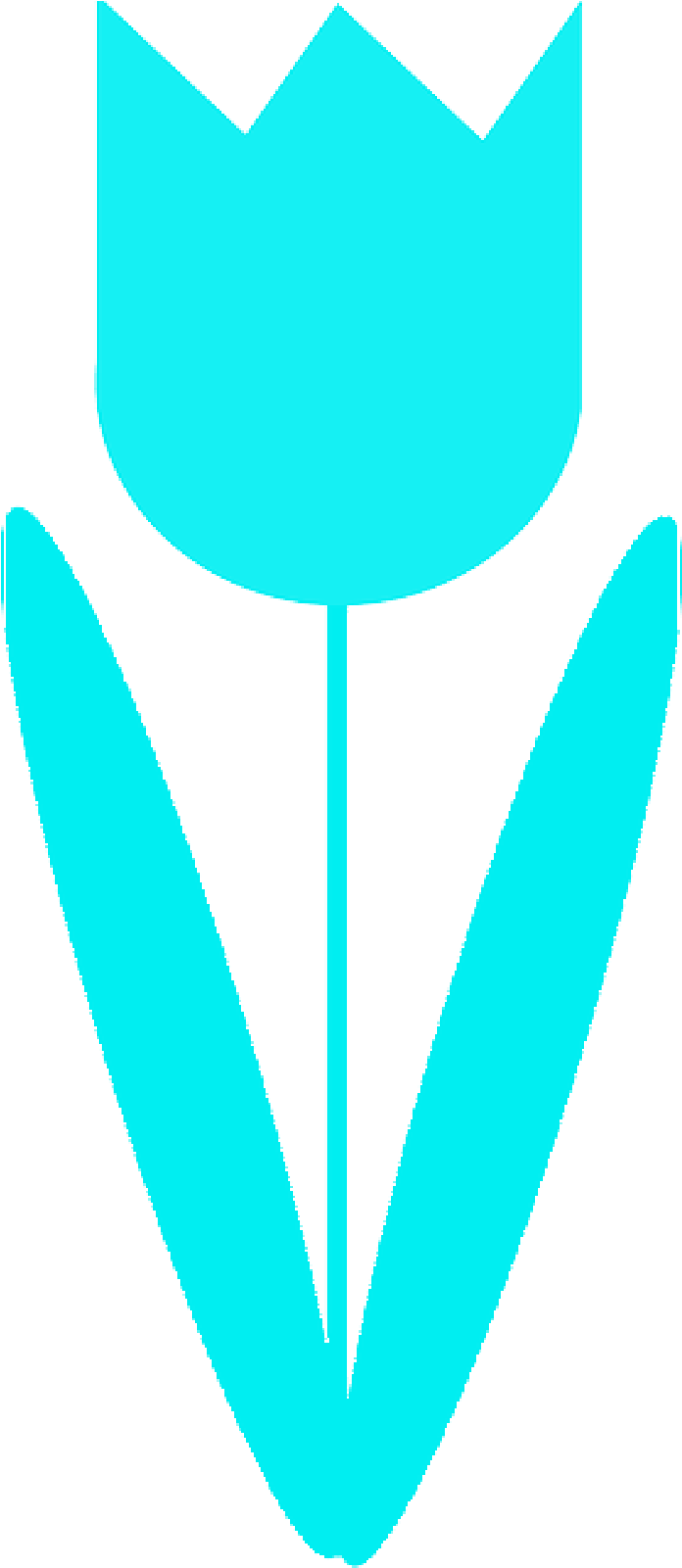 Plants, Flower, Flowers, Cartoon, - Flower (800x1600)