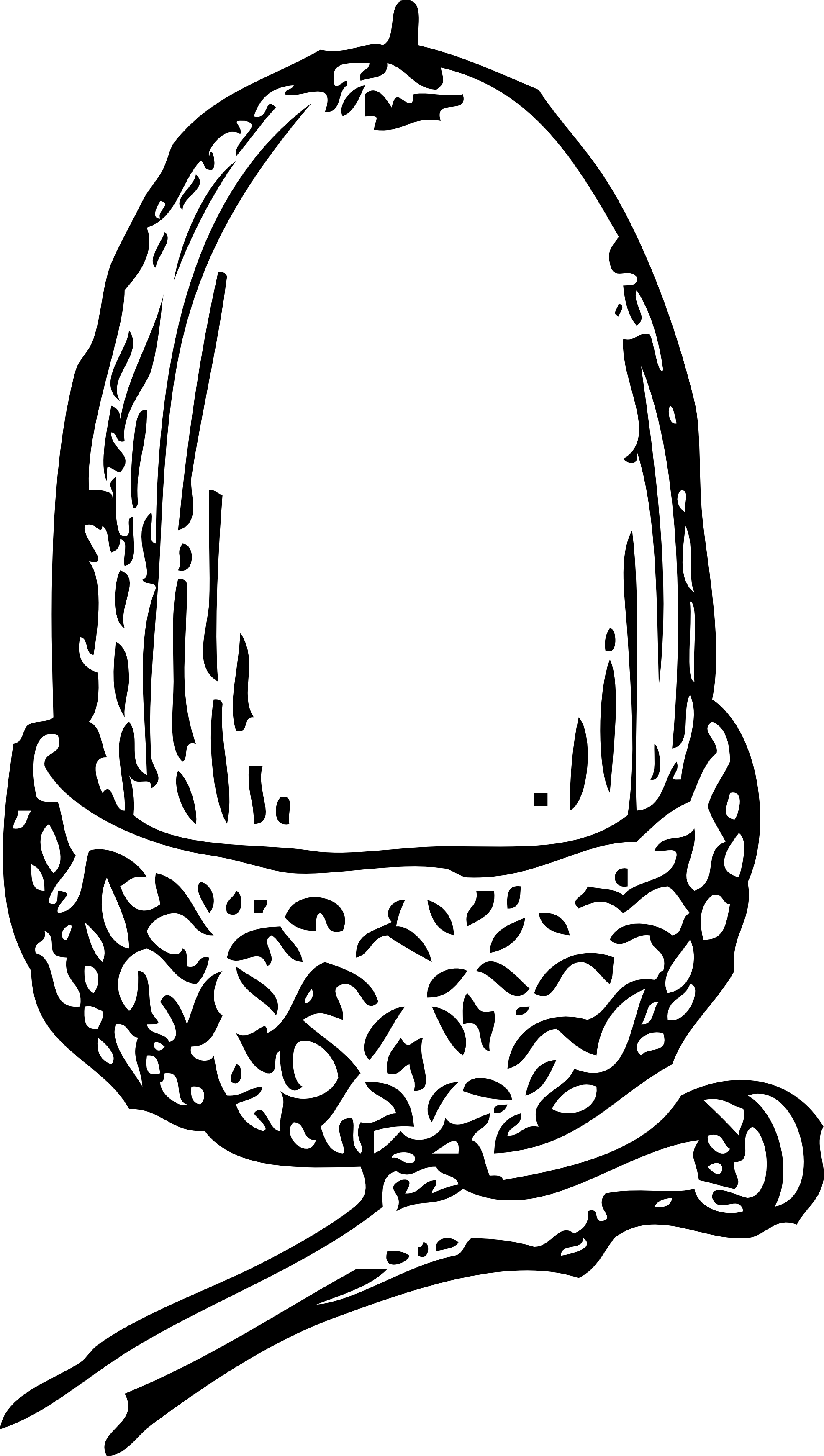 Acorn - Clipart - Black - And - White - Acorn Clip Art (1969x3480)
