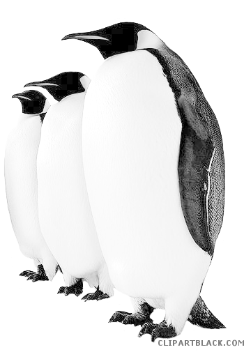 Emperor Penguin Animal Free Black White Clipart Images - Emperor Penguin (363x504)