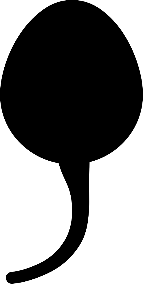 Tadpole Clipart Early - Tadpole Png (494x981)