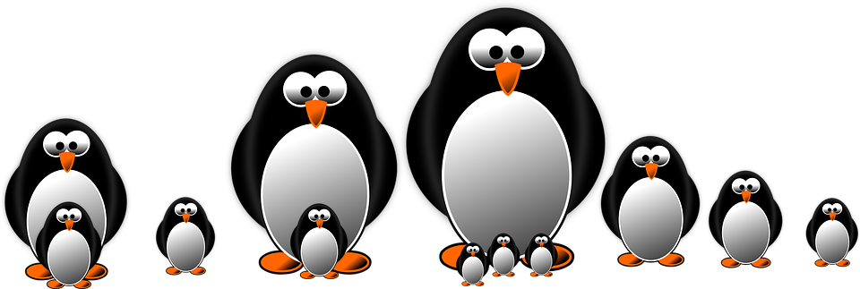Penguin, Graphic, Draw - Riddles About Birds For Kids (1422x480)