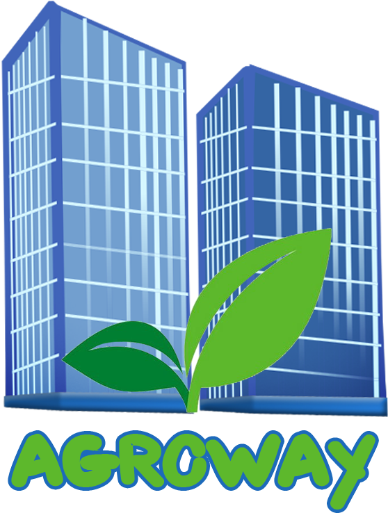 Olo - Buildings Clipart Transparent (569x749)