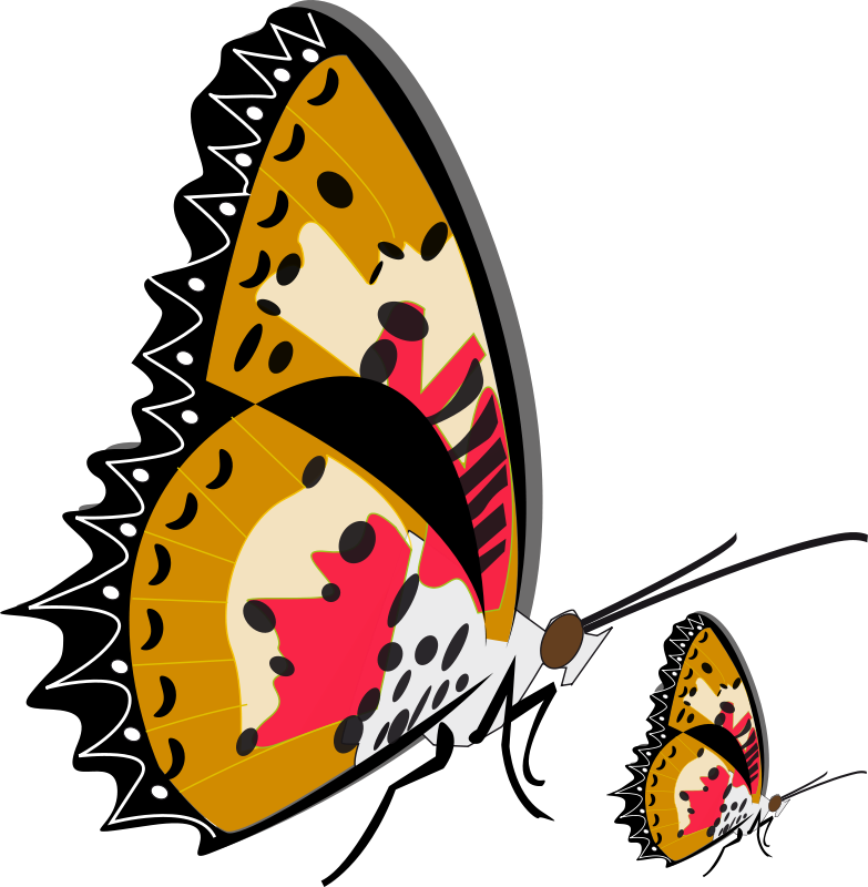 Get Notified Of Exclusive Freebies - Mother And Baby Butterfly Shower Curtain (783x800)