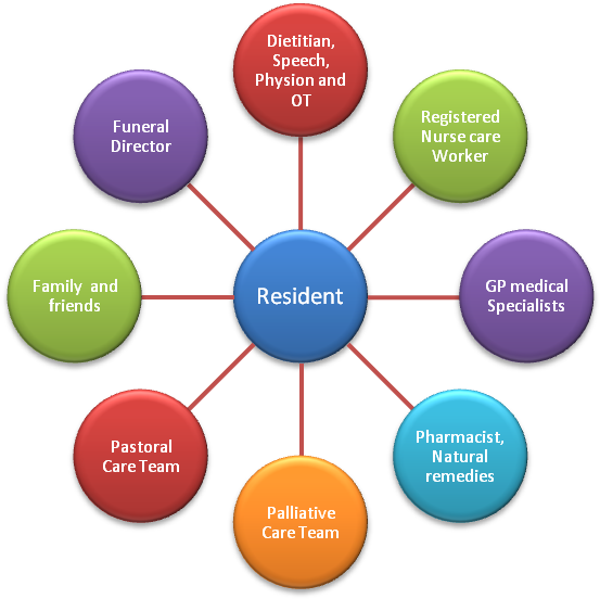Palliative Care Fullarton Lutheran Homes Rh Flh Asn - Purpose Of Literature Review (587x559)