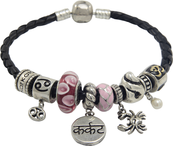Vedic Charms Bracelets - Pandora (600x600)