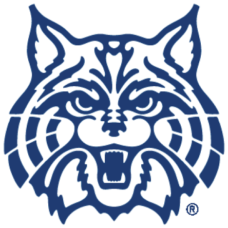 Wildcat Clipart Uofa - University Of Arizona Cat - (500x500) Png ...