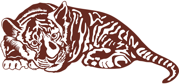 Tiger Wildcat Sumatran Tiger Wildlife Man- - Tiger Coloring Pages (680x340)