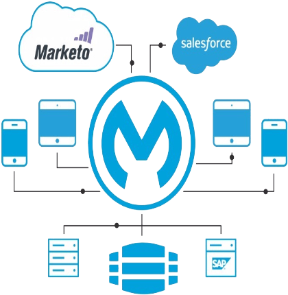 Salesforce Integration - Marketo (450x450)