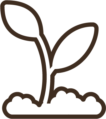 Beehive - Beehive (339x381)