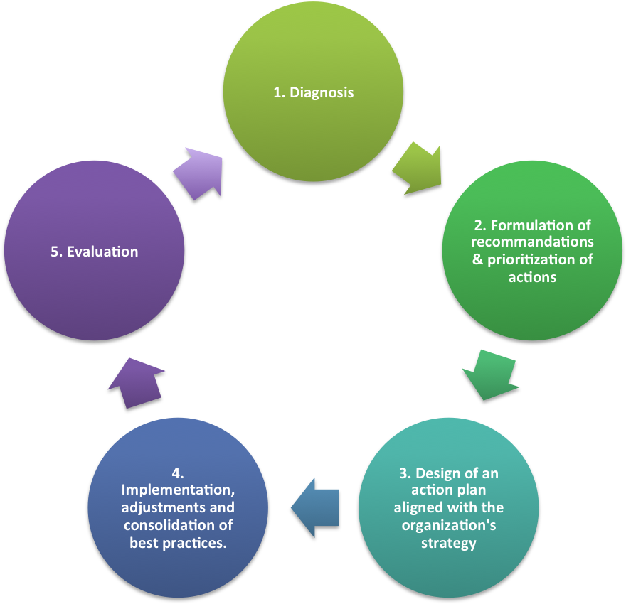 Our Approach - Process Of Software Development (1331x853)