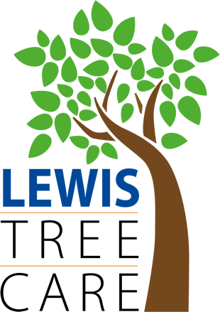 Lewis Tree Care - Lewis Tree Care (310x439)