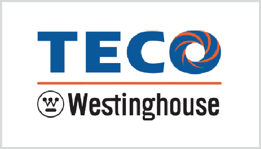 Teco / Westinghouse - Flip Electrical Teco Ep0608, 60 Hp, 900 Rpm, Tefc, (525x300)