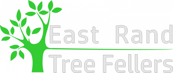 East Rand Tree Fellers - Tree And A Bird (588x250)