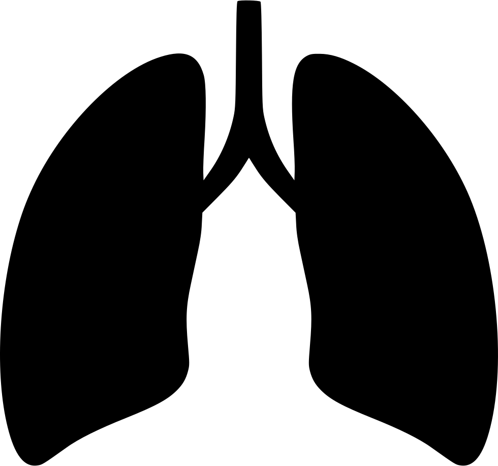 Breath Comments - Lungs Png Icon (980x916)