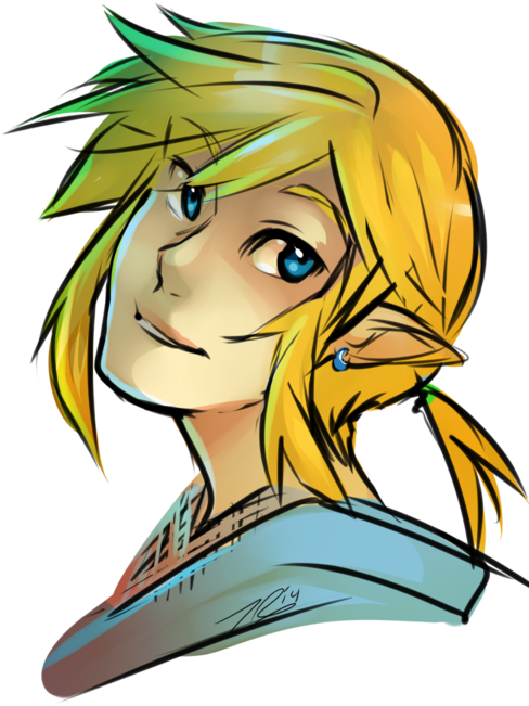 Here Have Some Quick Doodle Of Link From The New Wii - Video Game (500x689)