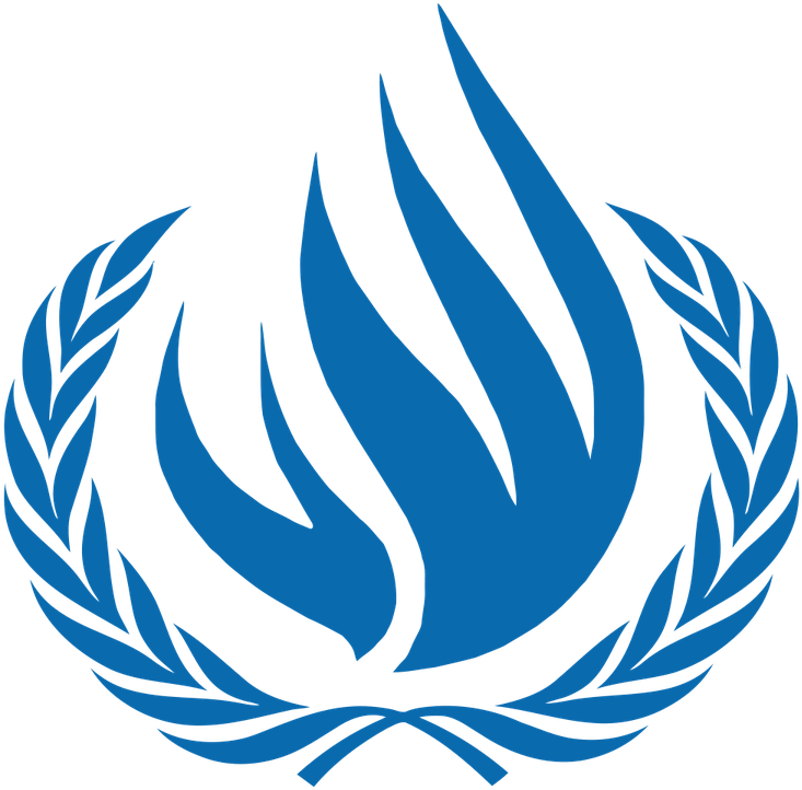 With A Hat Tip To Un Watch, I'd Like To Introduce You - Universal Declaration Of Human Rights Logo (600x600)