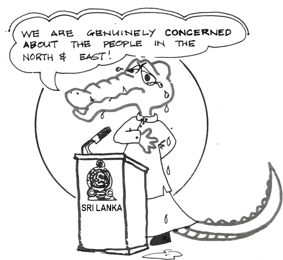 The Cold Hard Truth - Chief Of State Drawing (591x549)