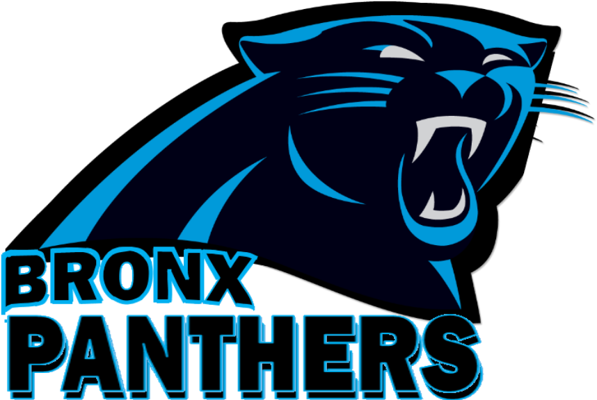 Panther Clipart Pioneer - Carolina Panthers New (891x592)