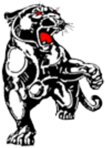 Polytech High School Panther (480x480)
