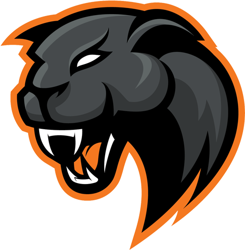 Panthers Logo (500x500)