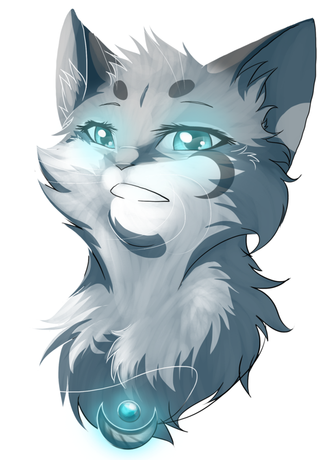 Breezefrost - Medicine Cat Herbs And Uses (894x894)