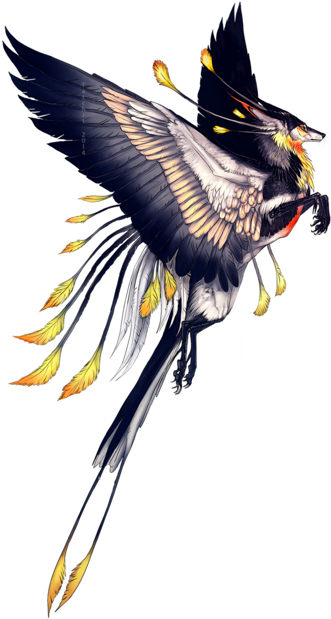 Winged Cat Beast For Kids - Four Winged Bird Art (659x1211)