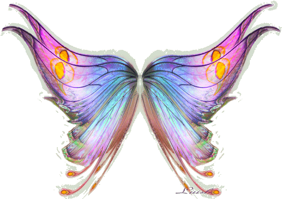 Butterfly Wings By Luisbc - Fairy (600x427)