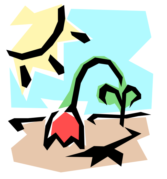 Sun-wilted Flower Royalty Free Vector Clip Art Illustration - Wilting Plant Clipart (653x700)