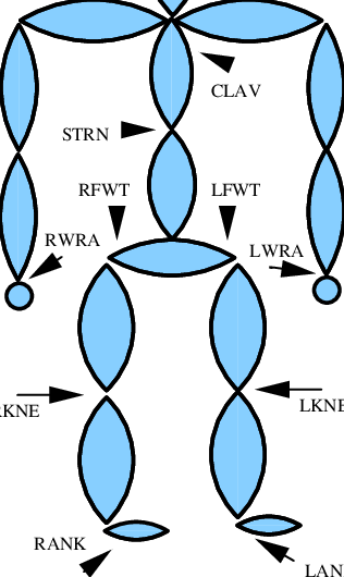 An Illustration Of The Location Of The Markers In The - An Illustration Of The Location Of The Markers In The (316x530)