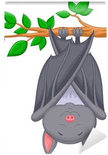 Sleeping Bat Cartoon (400x400)