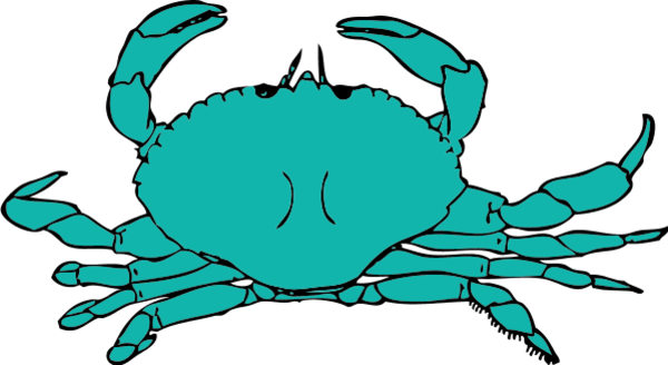 Crab Vector - Crab Clipart (600x328)