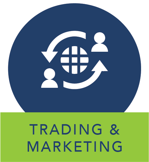 Immediate Roi By Reducing The Total Number Of Systems - Counter-strike: Global Offensive (507x548)