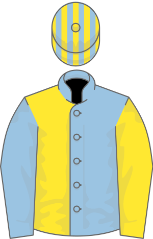 Rowland Meyrick Handicap Chase - Baron Howard De Walden (300x468)