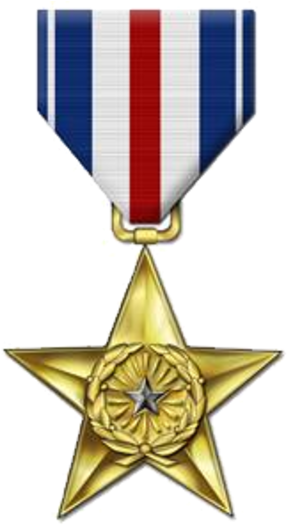 Silver Star Medal - Silver Star Medal Png (300x531)