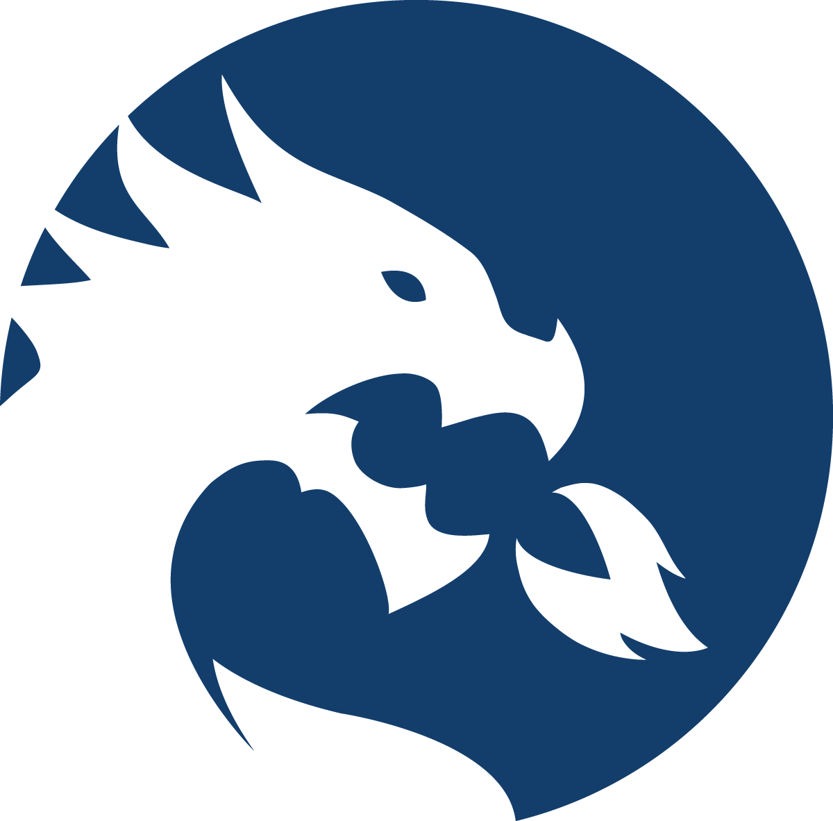 Freire Charter School Dragonmark - Freire Charter School Of Wilmington (1200x1183)